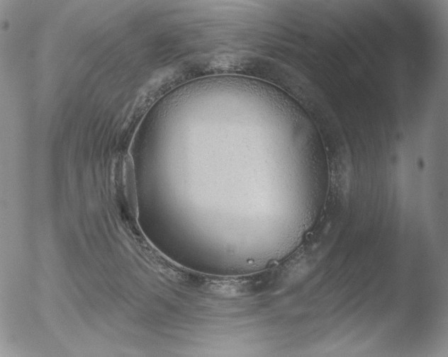 X0000052540127200507081340