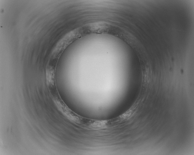 X0000052540138200507081340