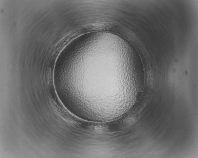 X0000052540165200507081339