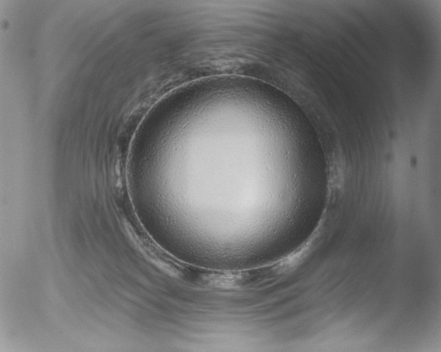 X0000052540182200507081340