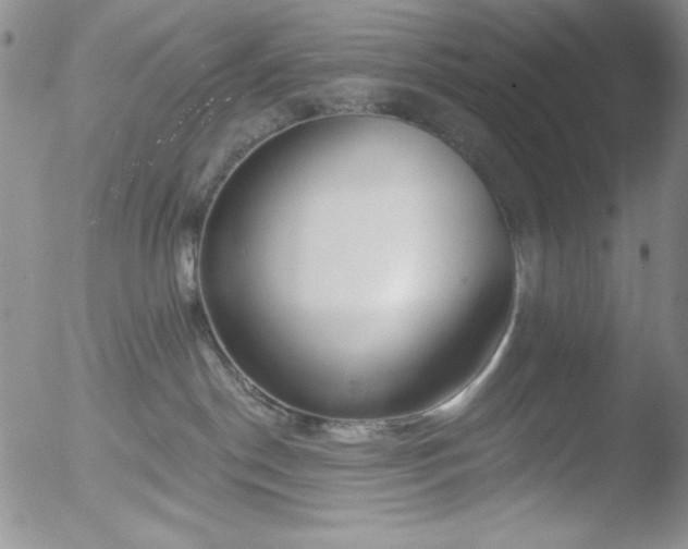 X0000052540190200507081340