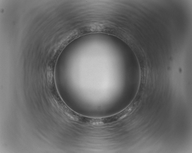 X0000052540228200507081338