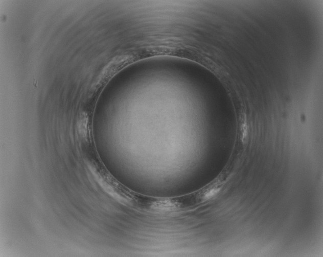 X0000052540231200507081338