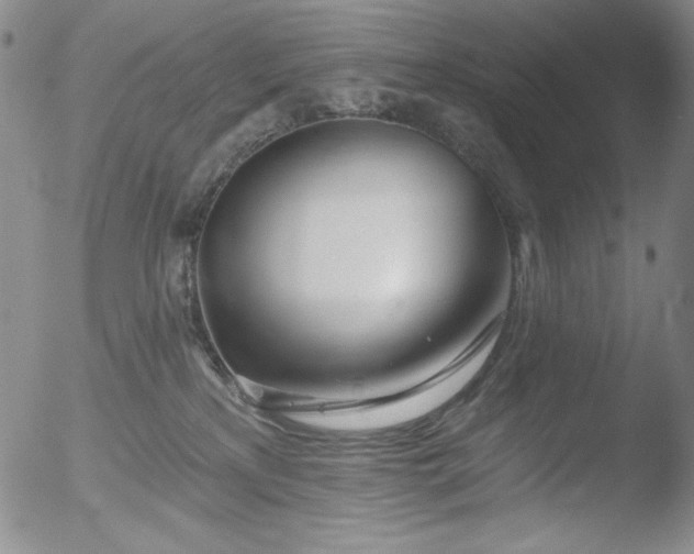 X0000052540233200507081338