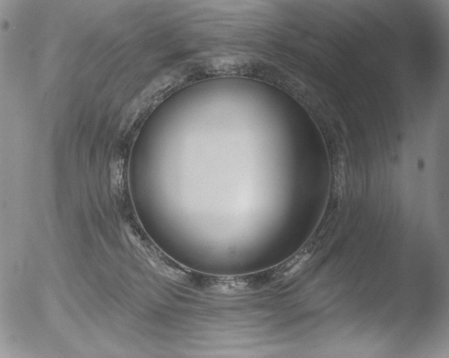 X0000052540278200507081338