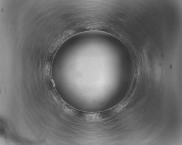 X0000052540281200507081338
