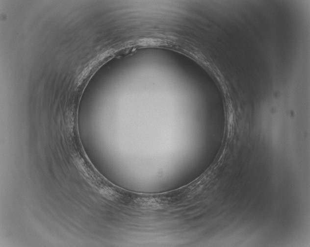 X0000052540297200507081337