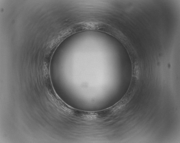 X0000052540318200507081337