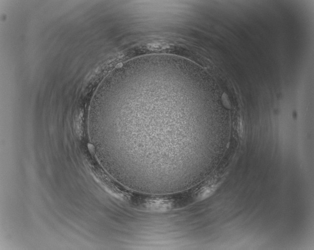 X0000052540319200507081337