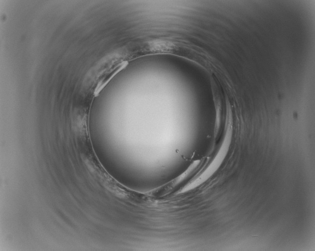 X0000052540329200507081337