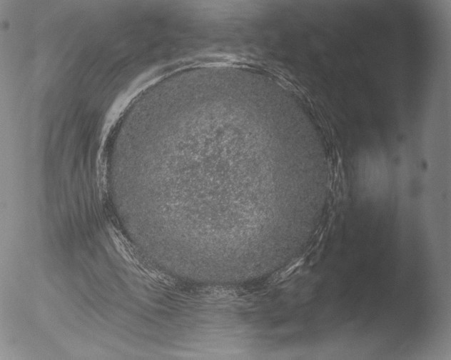 X0000052540343200507081336