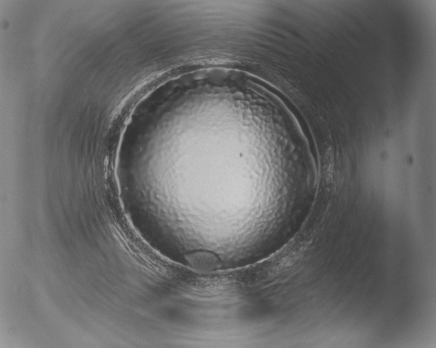 X0000052540351200507081336
