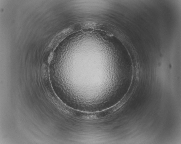 X0000052540361200507081336
