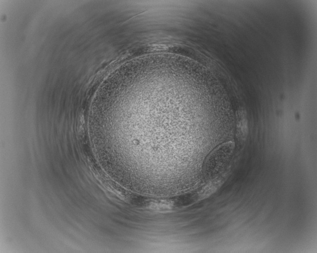 X0000052540369200507081336