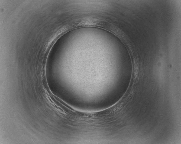 X0000052540386200507081336