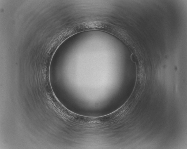 X0000052540402200507081336