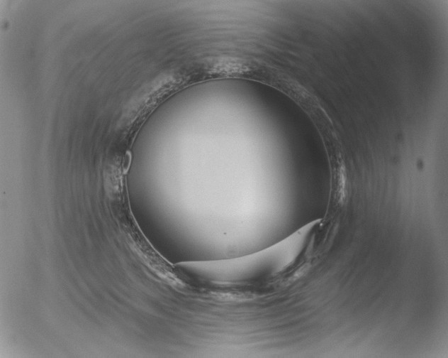 X0000052540517200507081334