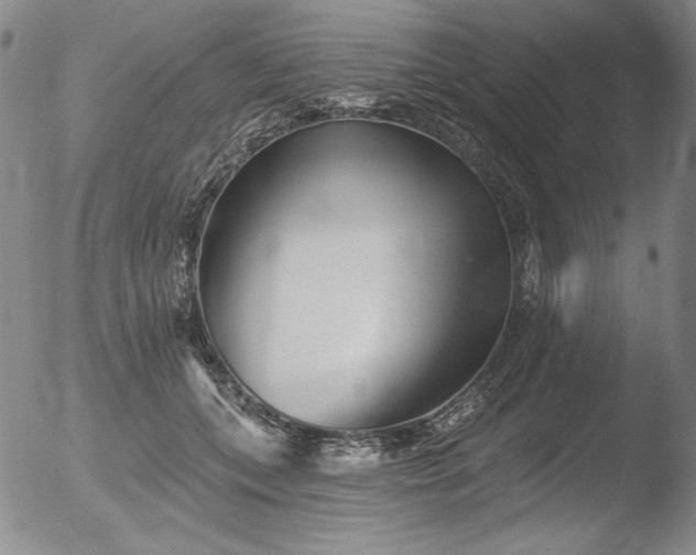 X0000052540559200507081333