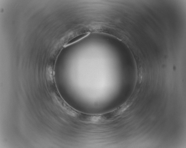 X0000052540575200507081333