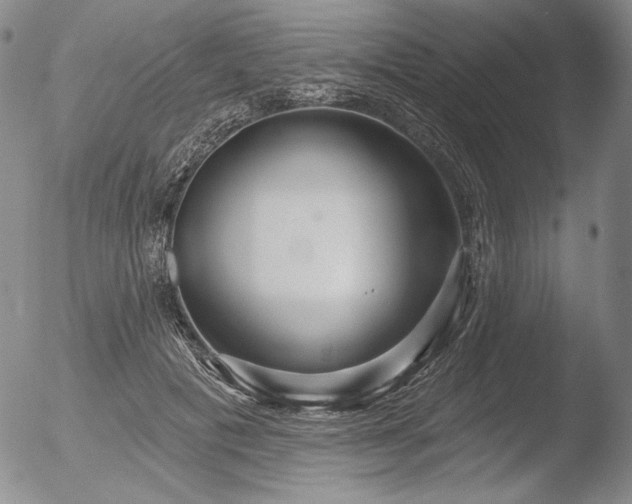 X0000052540601200507081332
