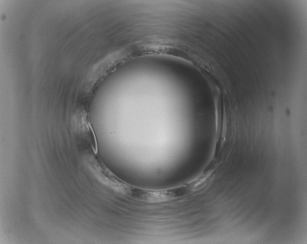 X0000052540623200507081332