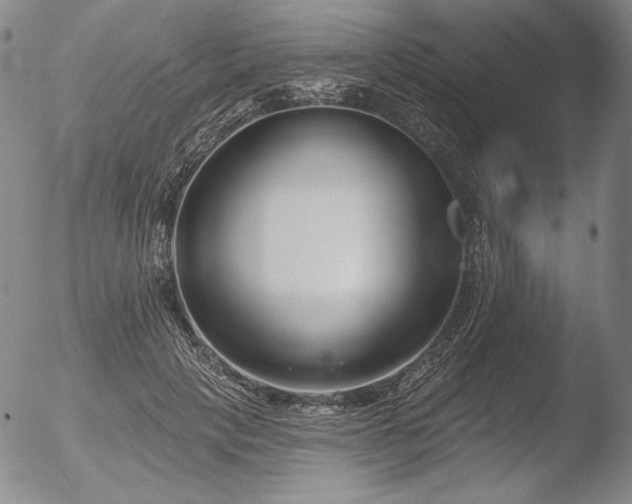 X0000052540649200507081331