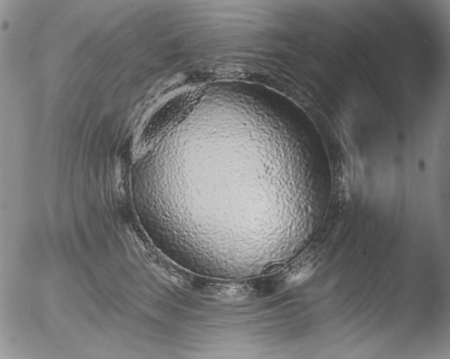 X0000052540663200507081332