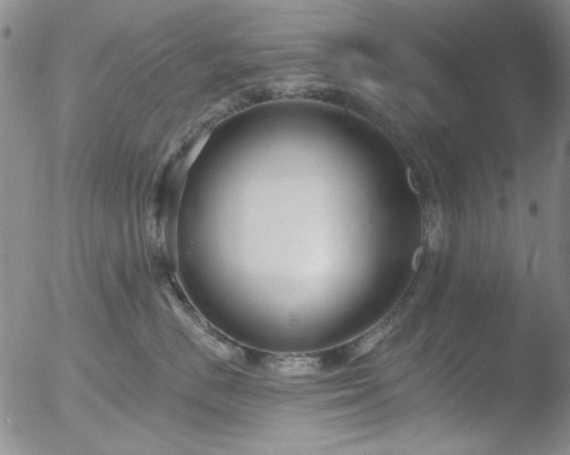 X0000052540670200507081332