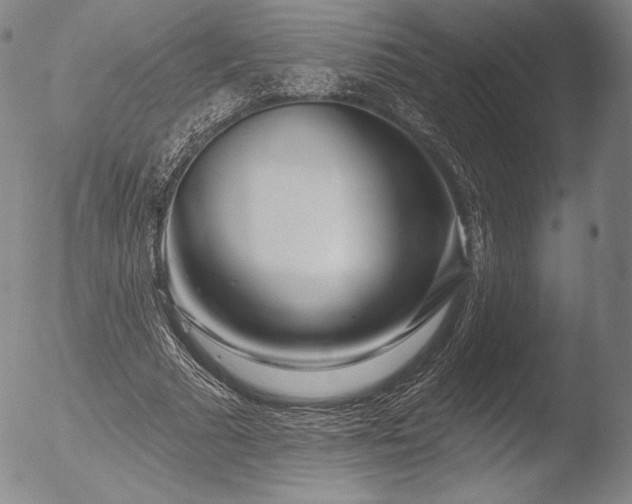 X0000052540681200507081331