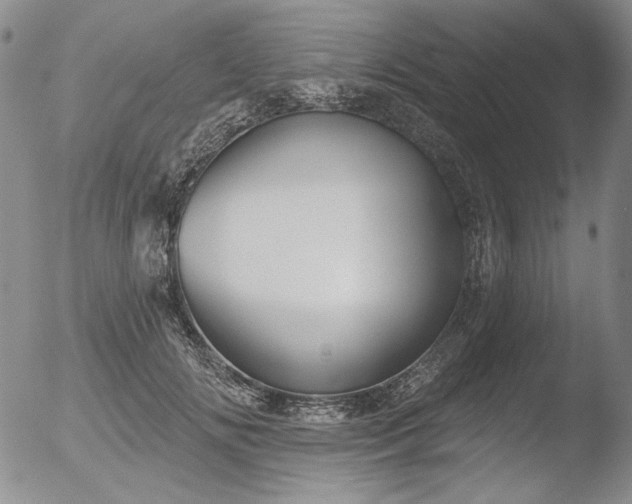 X0000052540702200507081331