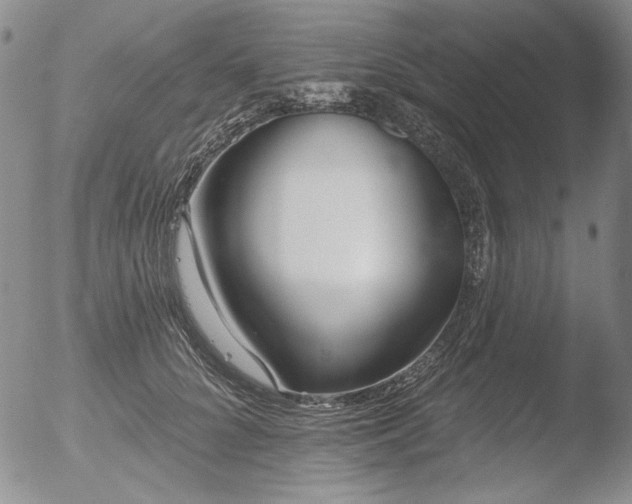 X0000052540704200507081331