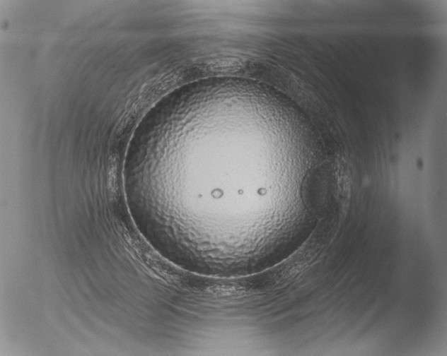 X0000052540745200507081330