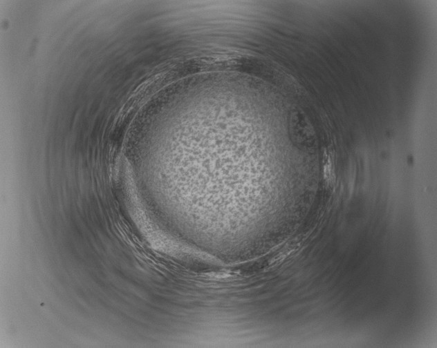 X0000052540819200507081328