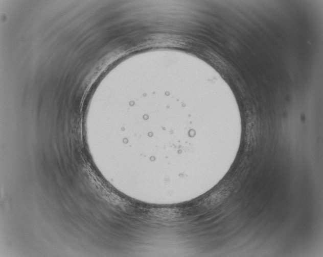 X0000052540836200507081328