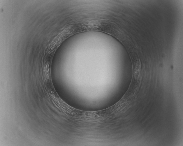 X0000052540866200507081328