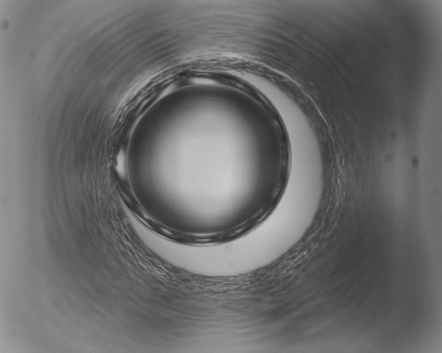 X0000052540871200507081328