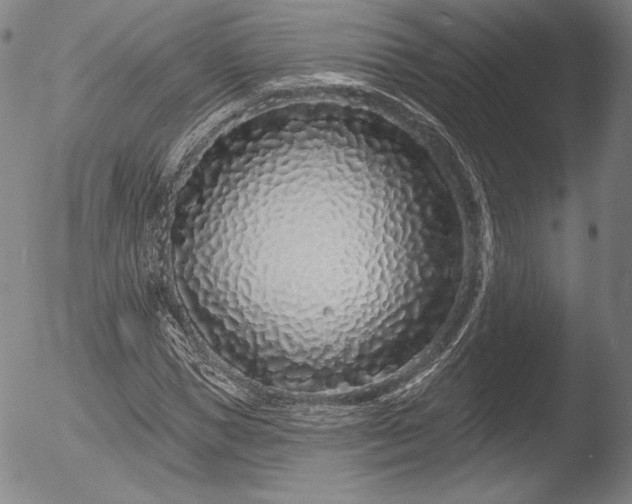 X0000052540921200507081326