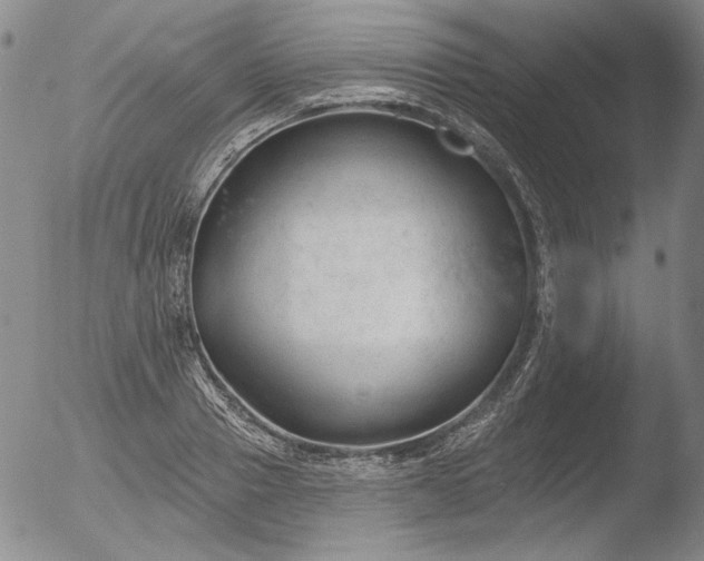X0000052540937200507081327