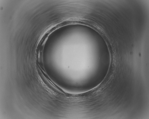 X0000052540976200507081326