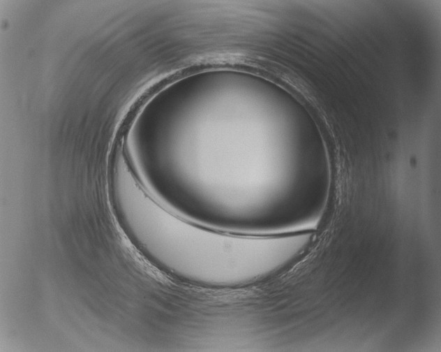 X0000052540984200507081326