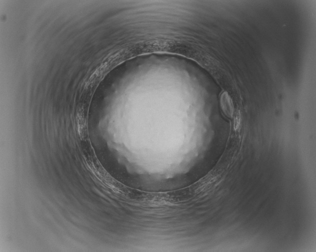 X0000052541011200507081325