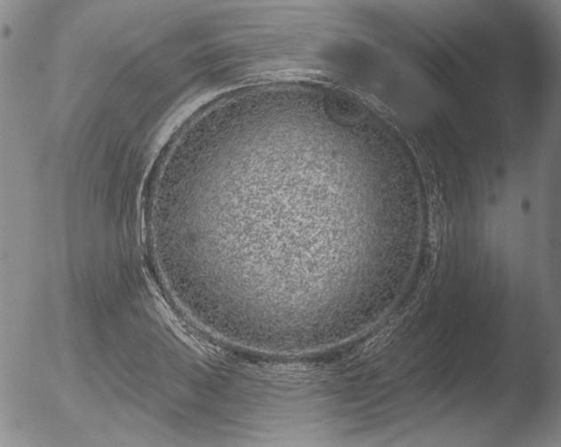 X0000052541031200507081325