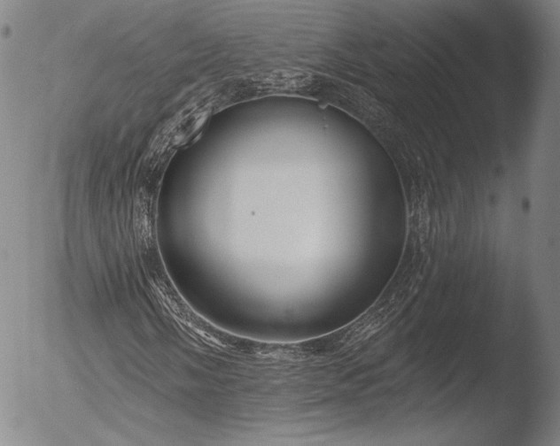 X0000052541058200507081325