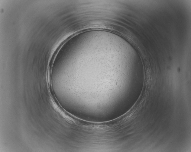 X0000052541084200507081324