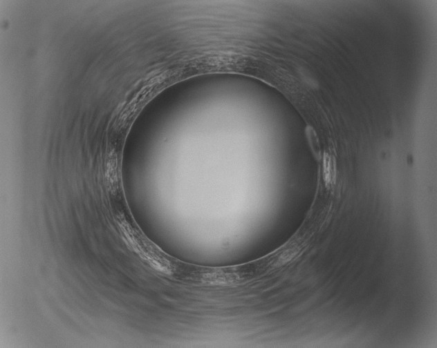 X0000052541107200507081323