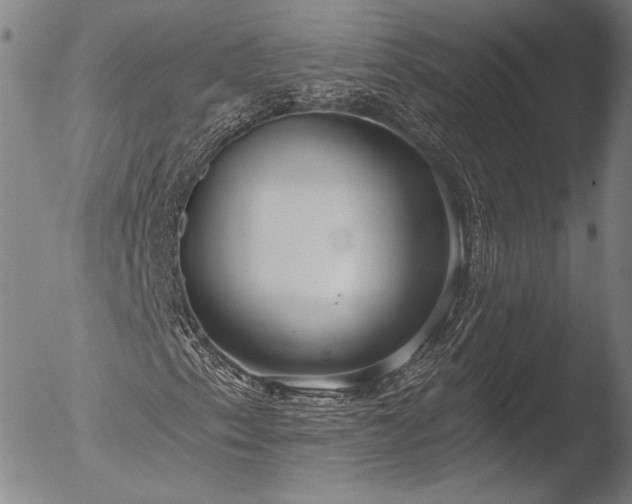 X0000052541153200507081323