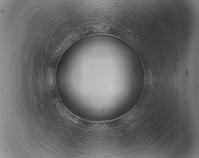 X0000052541154200507081323