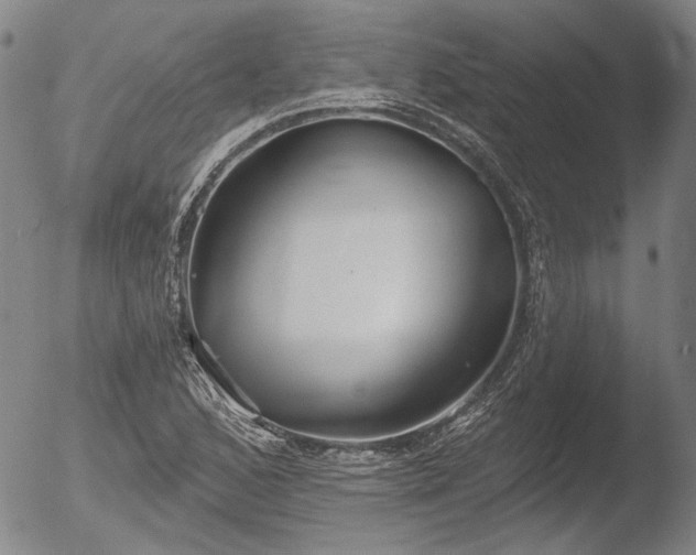 X0000052541168200507081323