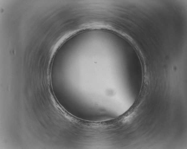 X0000052541191200507081322