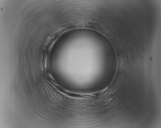 X0000052541202200507081322